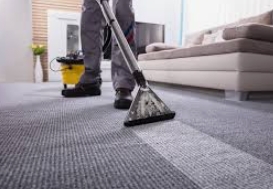 professional rug cleaning